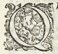 An illustration from Il trinciante (1636)