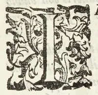 An illustration from Il trinciante (1636)