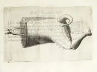 Picture 4 of 23 from Il trinciante (1636), leaf 29