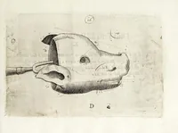 Picture 6 of 23 from Il trinciante (1636), leaf 33