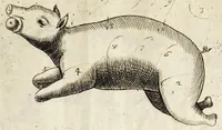 Picture 9 of 23 from Il trinciante (1636), leaf 43