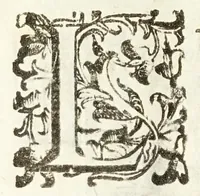 Picture 19 of 23 from Il trinciante (1636), leaf 84