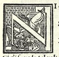 An illustration from Il triompho (1558)