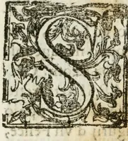 An illustration from Il trionfo della Pace per le fascie del serenissimo principe delle Spagne : dramma musicale (1658)