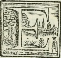 An illustration from Il trionfo delle bell'arti : renduto gloriosissimo sotto gli auspicj delle LL. AA. RR. Pietro Leopoldo, arciduca d'Austria, principe reale d'Ungheria, e di Boemia, granduca di Toscana ec. ec. ec. e Maria Luisa di Borbone, arciduchessa d'Austria, gran-duchessa di Toscana ec. ec. ec. in occasione, che gli accademici del disegno in dimostrazione di profondo rispetto verso i loro sovrani, fanno la solenne mostra delle opere antiche di più eccellenti artefici nella propria cappella, e nel chiostro secondo de' PP. della SS. Nonziata in Firenze l'anno 1767 (1767)