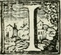 An illustration from Il trionfo delle bell'arti : renduto gloriosissimo sotto gli auspicj delle LL. AA. RR. Pietro Leopoldo, arciduca d'Austria, principe reale d'Ungheria, e di Boemia, granduca di Toscana ec. ec. ec. e Maria Luisa di Borbone, arciduchessa d'Austria, gran-duchessa di Toscana ec. ec. ec. in occasione, che gli accademici del disegno in dimostrazione di profondo rispetto verso i loro sovrani, fanno la solenne mostra delle opere antiche di più eccellenti artefici nella propria cappella, e nel chiostro secondo de' PP. della SS. Nonziata in Firenze l'anno 1767 (1767)