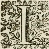 Picture 2 of 7 from Il trionfo di Maria Vergine Nostra Signora, Regina de'Cieli, Imperadrice de gli Angeli : machina in guisa di carro trionfale eretta à gloria della sudetta Madre di Dio dalla decana delle compagnie spirituali della città di Reggio, l'Arciconfraternità della Visitazione presso S. Agostino : in occasione della pubblica solenne coronazione della miracolosa imagine della Madonna detta della Ghiara (1674), leaf 6