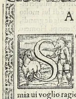Picture 2 of 13 from Il vermicello dalla seta, del Corsvccio da Sascorbaro : nvovamente venuto in luce (1581), leaf 13