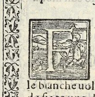 Picture 4 of 13 from Il vermicello dalla seta, del Corsvccio da Sascorbaro : nvovamente venuto in luce (1581), leaf 33