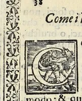 An illustration from Il vermicello dalla seta, del Corsvccio da Sascorbaro : nvovamente venuto in luce (1581)