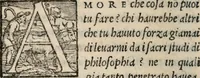 Picture 5 of 9 from Il viluppo : comedia nova (1547), leaf 31