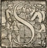 Picture 6 of 9 from Il viluppo : comedia nova (1547), leaf 53