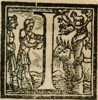 An illustration from Il viluppo : comedia nova (1547)