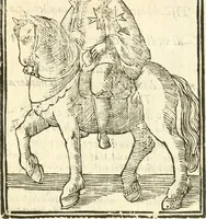 An illustration from Il zodiaco, over, idea di perfettione di prencipi : formata dall'heroiche virtù dell'illvstriss. et eccellentiss. signore D. Antonio Alvarez di Toledo, duca d'Alba vicere di Napoli : rapresentata come in vn trionfo dal fidelissimo popolo napoletano : per opera del dottore Francesco Antonio Scacciauento suo eletto : nella pomposissima festa di San Gio. Battista, celebrata à 23. di giugno 1629. per il settimo anno del suo gouerno (1630)