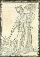 Picture 185 of 260 from Il zodiaco, over, idea di perfettione di prencipi : formata dall'heroiche virtù dell'illvstriss. et eccellentiss. signore D. Antonio Alvarez di Toledo, duca d'Alba vicere di Napoli : rapresentata come in vn trionfo dal fidelissimo popolo napoletano : per opera del dottore Francesco Antonio Scacciauento suo eletto : nella pomposissima festa di San Gio. Battista, celebrata à 23. di giugno 1629. per il settimo anno del suo gouerno (1630), leaf 343