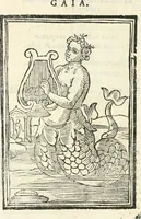 Picture 186 of 260 from Il zodiaco, over, idea di perfettione di prencipi : formata dall'heroiche virtù dell'illvstriss. et eccellentiss. signore D. Antonio Alvarez di Toledo, duca d'Alba vicere di Napoli : rapresentata come in vn trionfo dal fidelissimo popolo napoletano : per opera del dottore Francesco Antonio Scacciauento suo eletto : nella pomposissima festa di San Gio. Battista, celebrata à 23. di giugno 1629. per il settimo anno del suo gouerno (1630), leaf 345