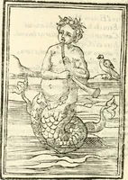 Picture 190 of 260 from Il zodiaco, over, idea di perfettione di prencipi : formata dall'heroiche virtù dell'illvstriss. et eccellentiss. signore D. Antonio Alvarez di Toledo, duca d'Alba vicere di Napoli : rapresentata come in vn trionfo dal fidelissimo popolo napoletano : per opera del dottore Francesco Antonio Scacciauento suo eletto : nella pomposissima festa di San Gio. Battista, celebrata à 23. di giugno 1629. per il settimo anno del suo gouerno (1630), leaf 353