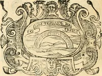 Picture 194 of 260 from Il zodiaco, over, idea di perfettione di prencipi : formata dall'heroiche virtù dell'illvstriss. et eccellentiss. signore D. Antonio Alvarez di Toledo, duca d'Alba vicere di Napoli : rapresentata come in vn trionfo dal fidelissimo popolo napoletano : per opera del dottore Francesco Antonio Scacciauento suo eletto : nella pomposissima festa di San Gio. Battista, celebrata à 23. di giugno 1629. per il settimo anno del suo gouerno (1630), leaf 361