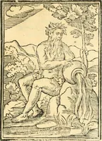 Picture 205 of 260 from Il zodiaco, over, idea di perfettione di prencipi : formata dall'heroiche virtù dell'illvstriss. et eccellentiss. signore D. Antonio Alvarez di Toledo, duca d'Alba vicere di Napoli : rapresentata come in vn trionfo dal fidelissimo popolo napoletano : per opera del dottore Francesco Antonio Scacciauento suo eletto : nella pomposissima festa di San Gio. Battista, celebrata à 23. di giugno 1629. per il settimo anno del suo gouerno (1630), leaf 388