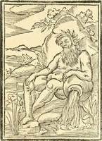 An illustration from Il zodiaco, over, idea di perfettione di prencipi : formata dall'heroiche virtù dell'illvstriss. et eccellentiss. signore D. Antonio Alvarez di Toledo, duca d'Alba vicere di Napoli : rapresentata come in vn trionfo dal fidelissimo popolo napoletano : per opera del dottore Francesco Antonio Scacciauento suo eletto : nella pomposissima festa di San Gio. Battista, celebrata à 23. di giugno 1629. per il settimo anno del suo gouerno (1630)