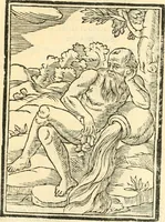 An illustration from Il zodiaco, over, idea di perfettione di prencipi : formata dall'heroiche virtù dell'illvstriss. et eccellentiss. signore D. Antonio Alvarez di Toledo, duca d'Alba vicere di Napoli : rapresentata come in vn trionfo dal fidelissimo popolo napoletano : per opera del dottore Francesco Antonio Scacciauento suo eletto : nella pomposissima festa di San Gio. Battista, celebrata à 23. di giugno 1629. per il settimo anno del suo gouerno (1630)