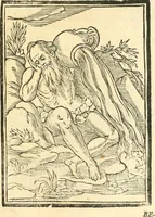 Picture 208 of 260 from Il zodiaco, over, idea di perfettione di prencipi : formata dall'heroiche virtù dell'illvstriss. et eccellentiss. signore D. Antonio Alvarez di Toledo, duca d'Alba vicere di Napoli : rapresentata come in vn trionfo dal fidelissimo popolo napoletano : per opera del dottore Francesco Antonio Scacciauento suo eletto : nella pomposissima festa di San Gio. Battista, celebrata à 23. di giugno 1629. per il settimo anno del suo gouerno (1630), leaf 394