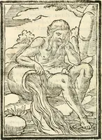 An illustration from Il zodiaco, over, idea di perfettione di prencipi : formata dall'heroiche virtù dell'illvstriss. et eccellentiss. signore D. Antonio Alvarez di Toledo, duca d'Alba vicere di Napoli : rapresentata come in vn trionfo dal fidelissimo popolo napoletano : per opera del dottore Francesco Antonio Scacciauento suo eletto : nella pomposissima festa di San Gio. Battista, celebrata à 23. di giugno 1629. per il settimo anno del suo gouerno (1630)