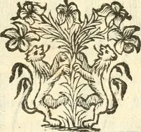 Picture 40 of 260 from Il zodiaco, over, idea di perfettione di prencipi : formata dall'heroiche virtù dell'illvstriss. et eccellentiss. signore D. Antonio Alvarez di Toledo, duca d'Alba vicere di Napoli : rapresentata come in vn trionfo dal fidelissimo popolo napoletano : per opera del dottore Francesco Antonio Scacciauento suo eletto : nella pomposissima festa di San Gio. Battista, celebrata à 23. di giugno 1629. per il settimo anno del suo gouerno (1630), leaf 78