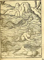 Picture 44 of 95 from Imagines deorum, qui ab antiquis colebantur : in quibus simulacra, ritus, caerimoniae, magnaq[ue] ex parte veterum religio explicatur (1581), leaf 188