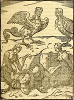 Picture 50 of 95 from Imagines deorum, qui ab antiquis colebantur : in quibus simulacra, ritus, caerimoniae, magnaq[ue] ex parte veterum religio explicatur (1581), leaf 212