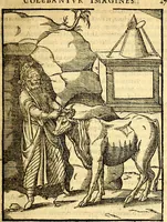 Picture 14 of 95 from Imagines deorum, qui ab antiquis colebantur : in quibus simulacra, ritus, caerimoniae, magnaq[ue] ex parte veterum religio explicatur (1581), leaf 60