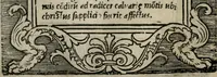 An illustration from Illvstrivm imagines (1517)