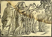 Picture 74 of 268 from Imagini delli dei de gl'antichi (1647), leaf 148