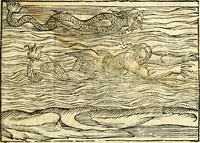 Picture 86 of 268 from Imagini delli dei de gl'antichi (1647), leaf 172