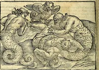 Picture 94 of 268 from Imagini delli dei de gl'antichi (1647), leaf 189