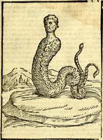 Picture 144 of 268 from Imagini delli dei de gl'antichi (1647), leaf 280