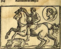 Picture 191 of 268 from Imagini delli dei de gl'antichi (1647), leaf 355