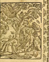 Picture 206 of 268 from Imagini delli dei de gl'antichi (1647), leaf 370