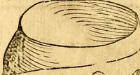 Picture 214 of 268 from Imagini delli dei de gl'antichi (1647), leaf 379