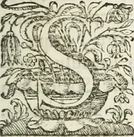 Picture 6 of 153 from Imago primi sæcvli Societatis Iesv a Provincia Flandro-Belgica eivsdem Societatis repræsentata .. (1640), leaf 40