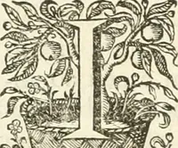 An illustration from Imago primi sæcvli Societatis Iesv a Provincia Flandro-Belgica eivsdem Societatis repræsentata .. (1640)