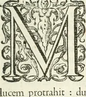 Picture 98 of 153 from Imago primi sæcvli Societatis Iesv a Provincia Flandro-Belgica eivsdem Societatis repræsentata .. (1640), leaf 496