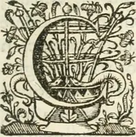 An illustration from Imago primi sæcvli Societatis Iesv a Provincia Flandro-Belgica eivsdem Societatis repræsentata .. (1640)