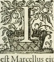 Picture 119 of 153 from Imago primi sæcvli Societatis Iesv a Provincia Flandro-Belgica eivsdem Societatis repræsentata .. (1640), leaf 698