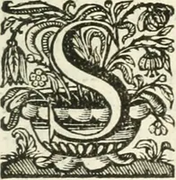 Picture 136 of 153 from Imago primi sæcvli Societatis Iesv a Provincia Flandro-Belgica eivsdem Societatis repræsentata .. (1640), leaf 906