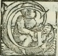 Picture 21 of 114 from I marmi del Doni, academico peregrino (1552), leaf 134
