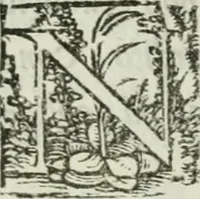 Picture 30 of 114 from I marmi del Doni, academico peregrino (1552), leaf 176