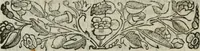 Picture 39 of 114 from I marmi del Doni, academico peregrino (1552), leaf 255
