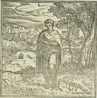 Picture 41 of 114 from I marmi del Doni, academico peregrino (1552), leaf 256