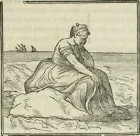 Picture 42 of 114 from I marmi del Doni, academico peregrino (1552), leaf 258